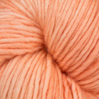 Apricot (072)