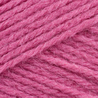 Bubble Gum (102)