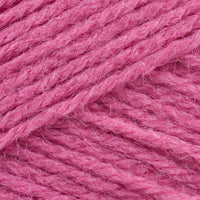 Bubble Gum (102)