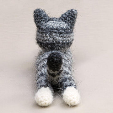 Dandylion kitty cat
