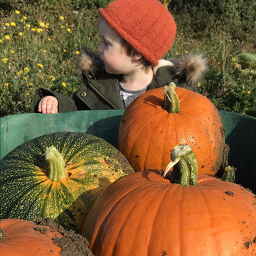 Pumpkin beanie hat