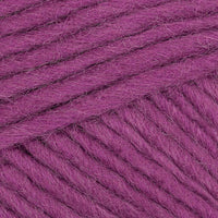 Pflaume (00026)