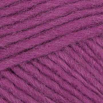 Pflaume (00026)