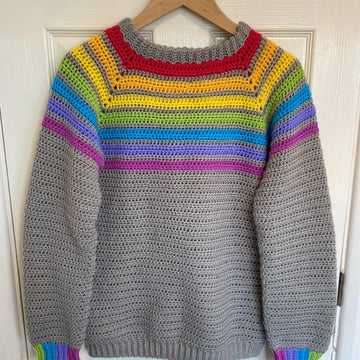 The Eclectic Rainbow Raglan