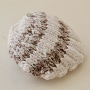 Cockle Shell