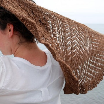 Aerie Shawlette