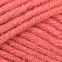 Raspberry (139)
