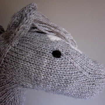 Hobby Horse for Little Knights