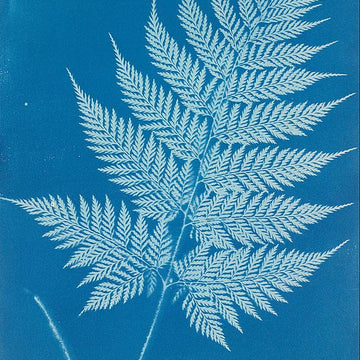 The Botanist's Mittens