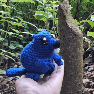 Woodland Friends: The Invisible Beaver