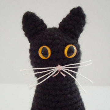 Halloween Black Cat