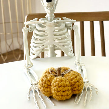 Harvest Pumpkins 052