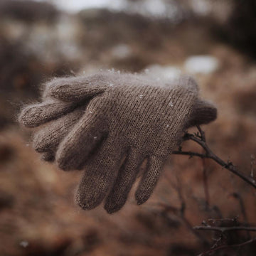 The Cloud Gloves