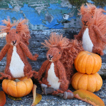 Red Squirrel Sisters