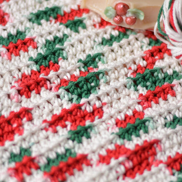 Holiday Washcloth