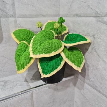 Crochet Hosta plant