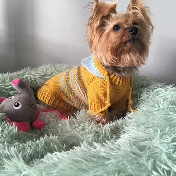 Hooded Sweater for Dogs