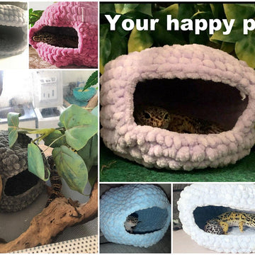 Pokeball gecko hide House