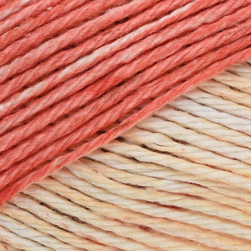 Lily Sugar 'n Cream Stripes