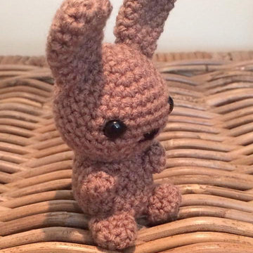 Mr Buns the tiny bunny rabbit