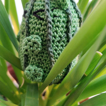Cactus cat