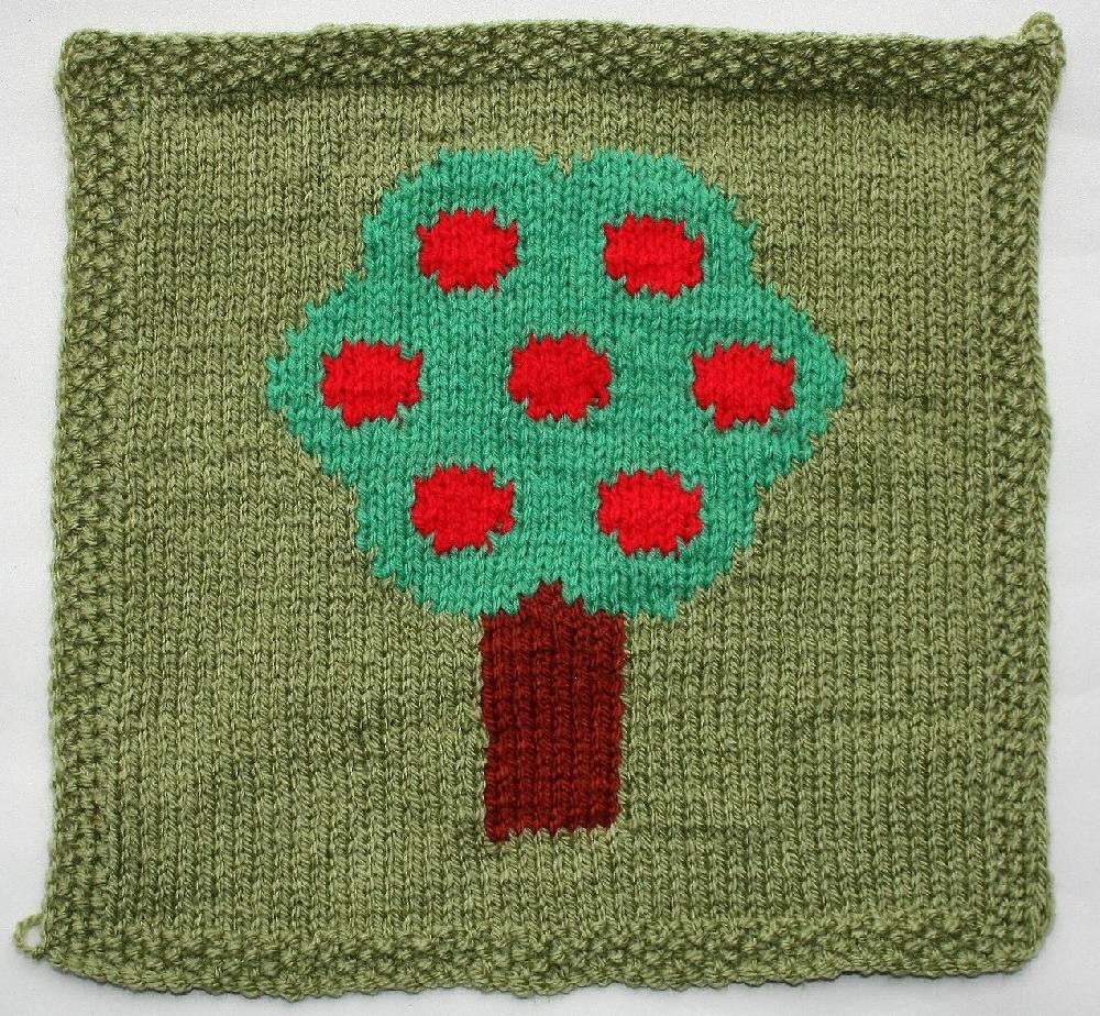 My little apple tree