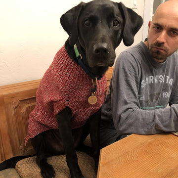 Murphy's Jumper
