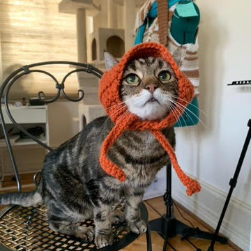 Cat Hat and Beanie Pattern