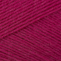 Fuchsia (6617)