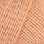 Apricot (1)