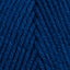 Peacock (1505)