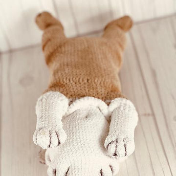 English Bulldog