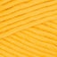 Gold (10)