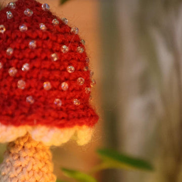 Enchanted Mushroom Tales