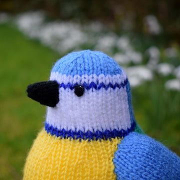 Beverley the Blue Tit