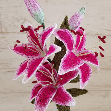 Stargazer Lily