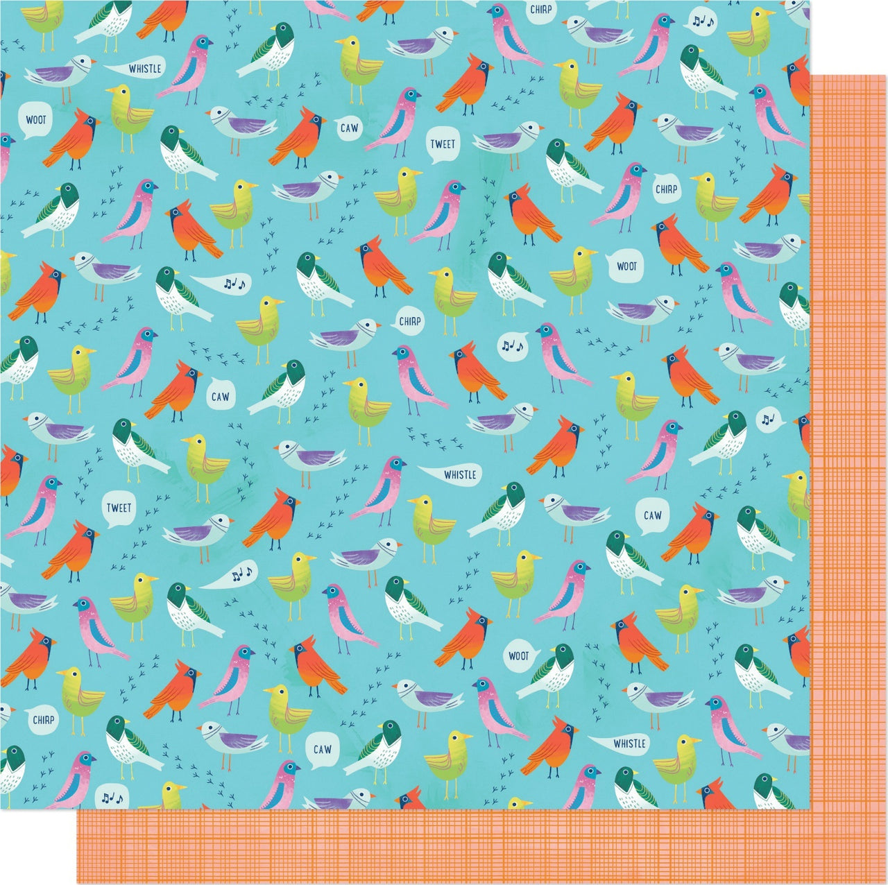 American Crafts Shimelle Never Grow Up Double-Sided Cardstock 12"X12" 25/Pkg - Dawn Chorus