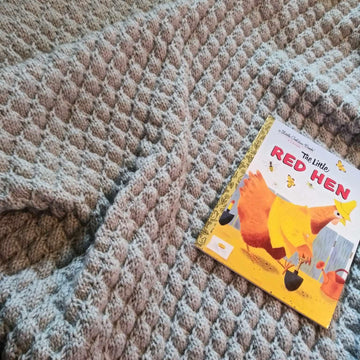 Dragon Rider's Baby Blanket