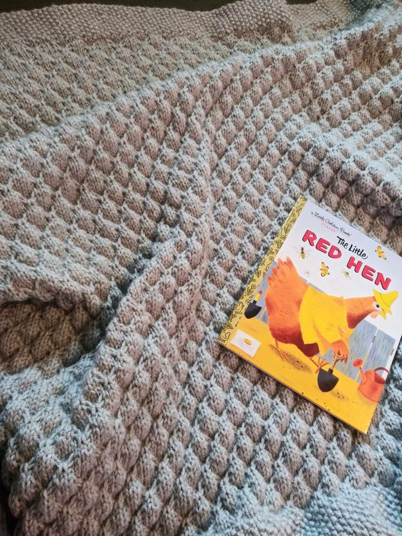 Dragon Rider's Baby Blanket