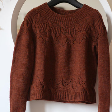 Cinnamomum pullover