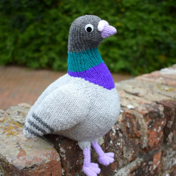 Paul the Pigeon