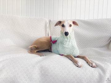 Doggo no 18 sweater