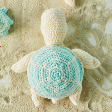 Sea Turtles
