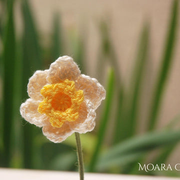 Crochet Daffodil