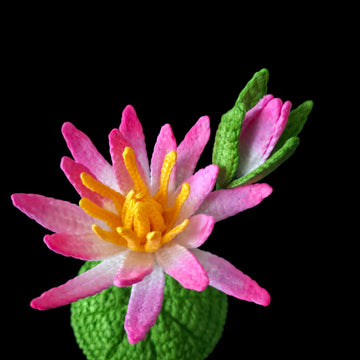 Crochet Water lily flowers pattern