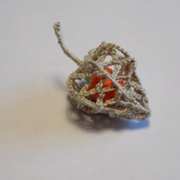 Physalis (Chinese lantern)