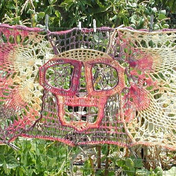 Heaven Sent an Angel Winged Skull Shawl