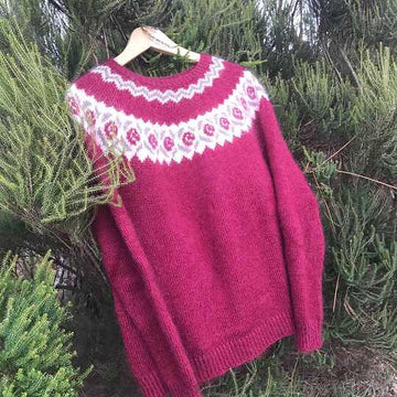 Pull Hellébore