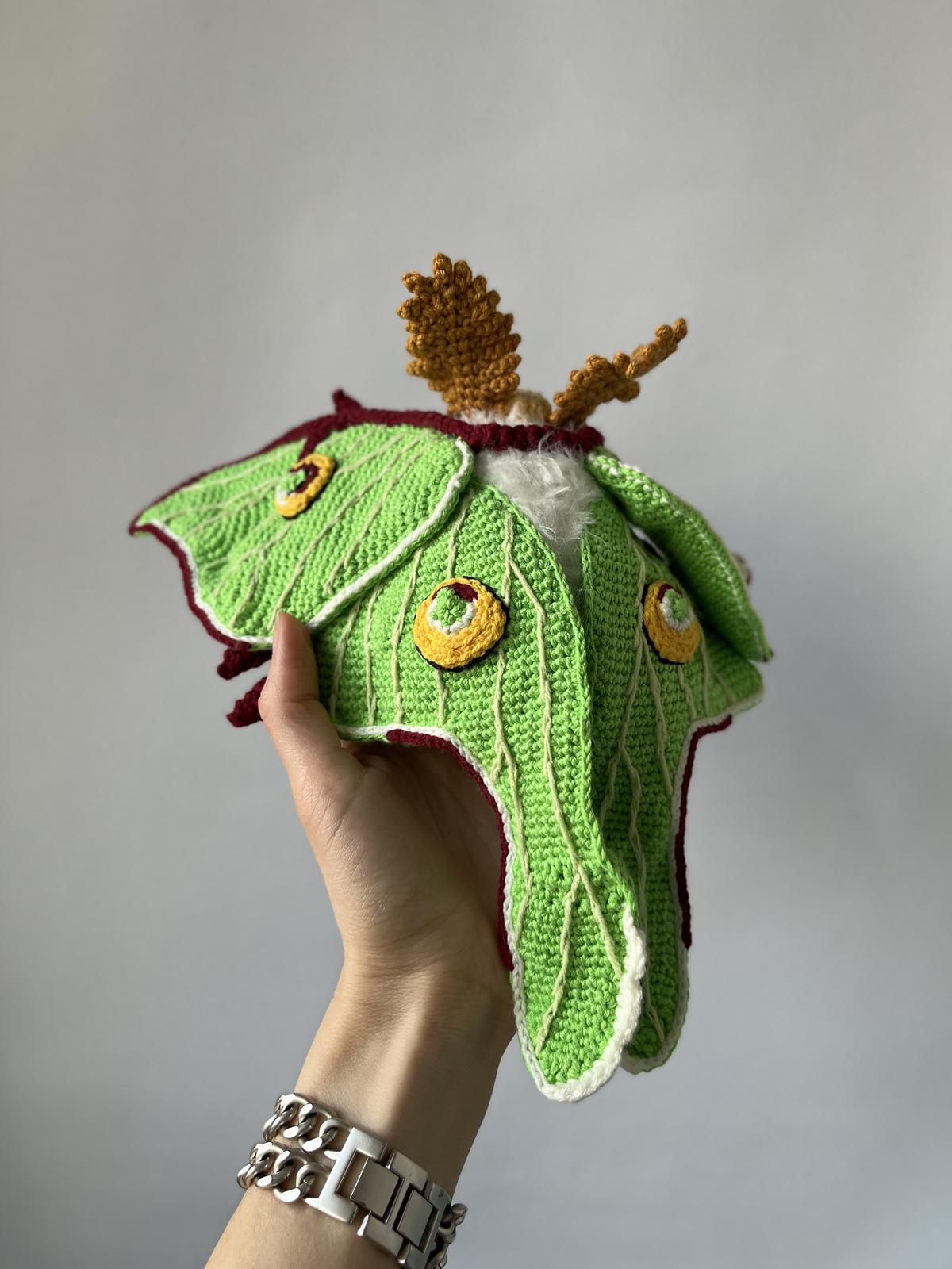 Luna Moth