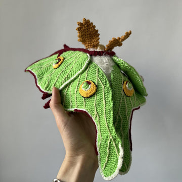 Luna Moth